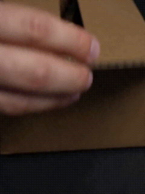 Outseed post